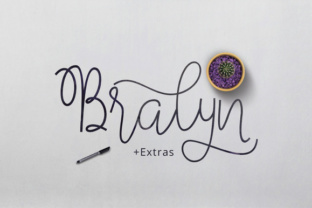 Bralyn Font for Modern Web Design Projects