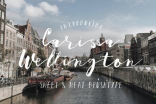 Carissa Wellington: A Feminine Script Font for Handmade Branding