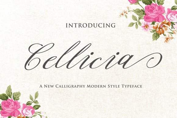 Cellicia Font Review for Branding Projects