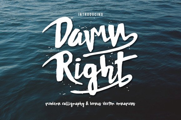 Damn Right Font Review and Free Download Guide
