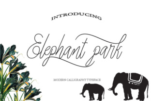 Elephant Park: A Modern Handwritten Script Font for Campaign Design