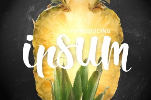 Ipsum Script: A Modern Brush Script Font for Eye-Catching Campaigns