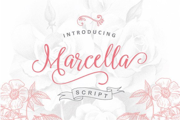 Marcella Font: Elevate Your Brand with Elegant Script Typography