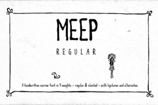 Meep Regular Font Review for Creative Product Makers