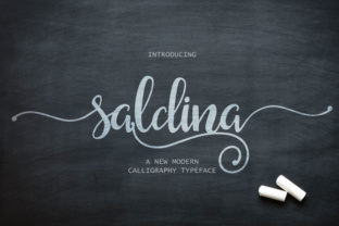 Saldina Script Font: A Marketer’s Secret for Stronger Campaigns