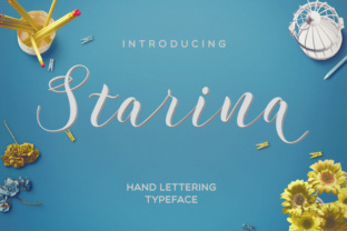 Starina Font: A Hand-Drawn Script for Romantic Creations